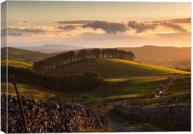 Yorkshire Dales sunset Canvas Print by ANDREW HUDSON