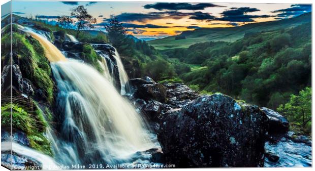 Loup of Fintry Canvas Print by Douglas Milne