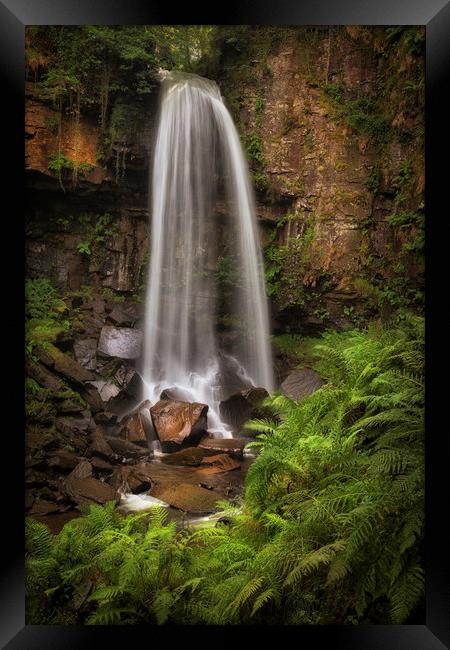 Waterfall and ferns at Melincourt Framed Print by Leighton Collins