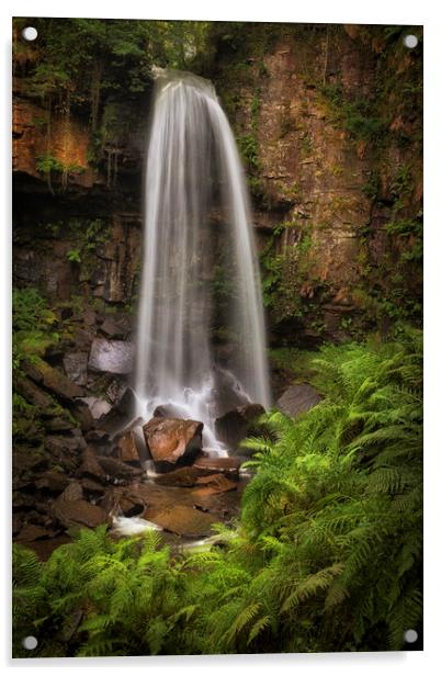Waterfall and ferns at Melincourt Acrylic by Leighton Collins