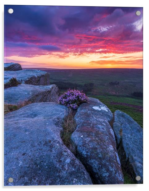 Peak District Purple Sunrise  Acrylic by John Finney