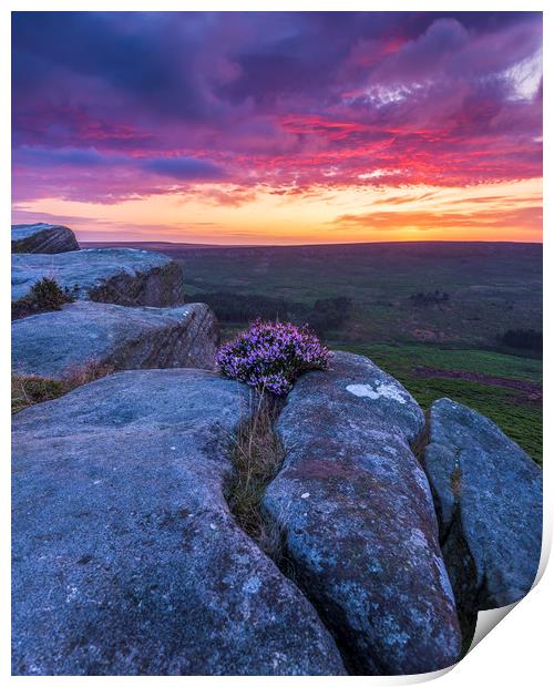 Peak District Purple Sunrise  Print by John Finney
