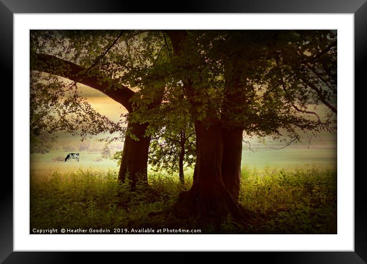 The Cattle Rest Framed Mounted Print by Heather Goodwin