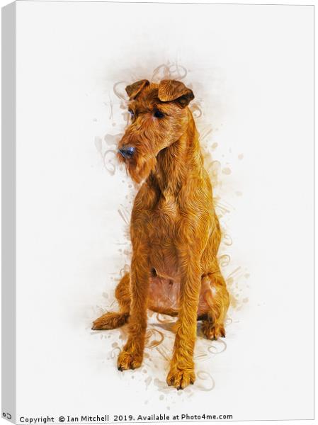 Irish Terrier Canvas Print by Ian Mitchell