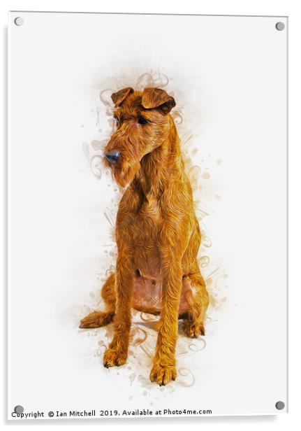Irish Terrier Acrylic by Ian Mitchell