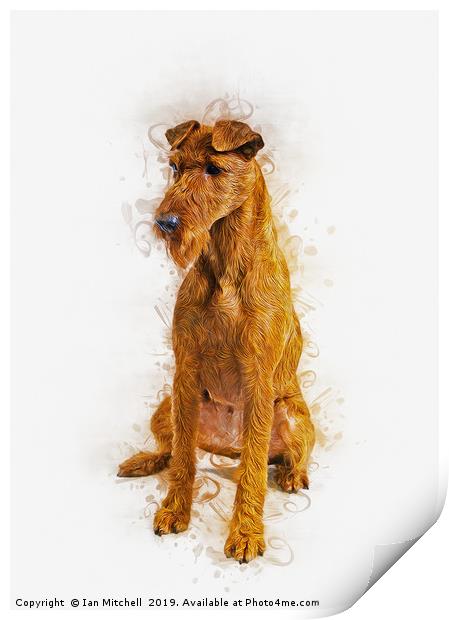 Irish Terrier Print by Ian Mitchell