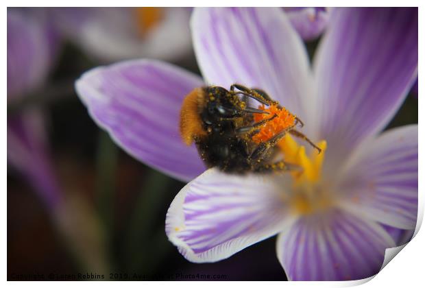 Spring Bee Print by Loren Robbins