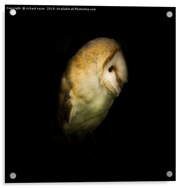 Barn Owl Portait Acrylic by richard sayer