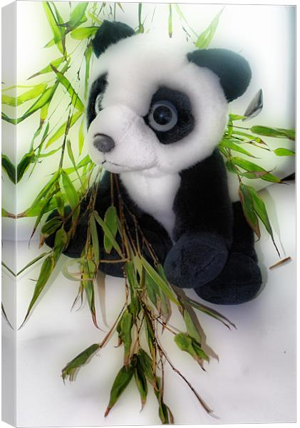 Panda and Bamboo Canvas Print by Karen Martin