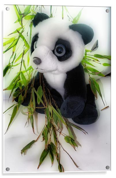 Panda and Bamboo Acrylic by Karen Martin