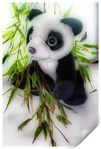 Panda and Bamboo Print by Karen Martin