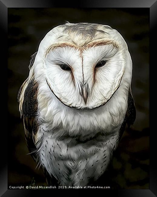 Sleepy Barn Owl Framed Print by David Mccandlish