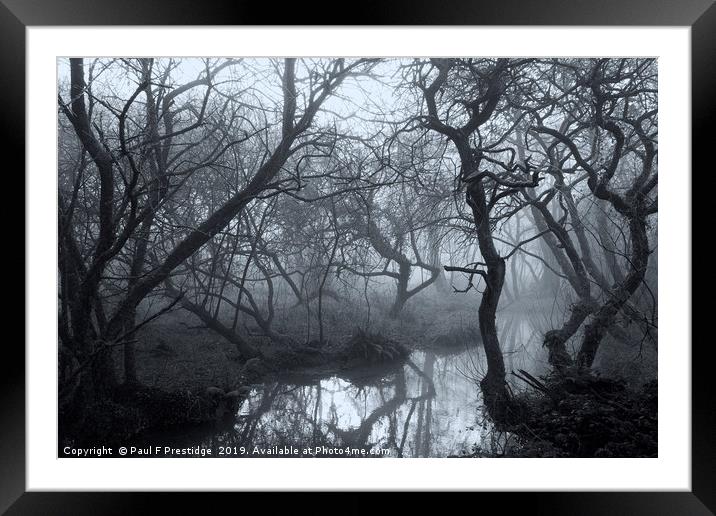 Mysterious Woods in Devon Framed Mounted Print by Paul F Prestidge