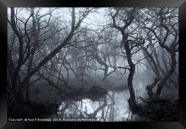 Mysterious Woods in Devon Framed Print by Paul F Prestidge