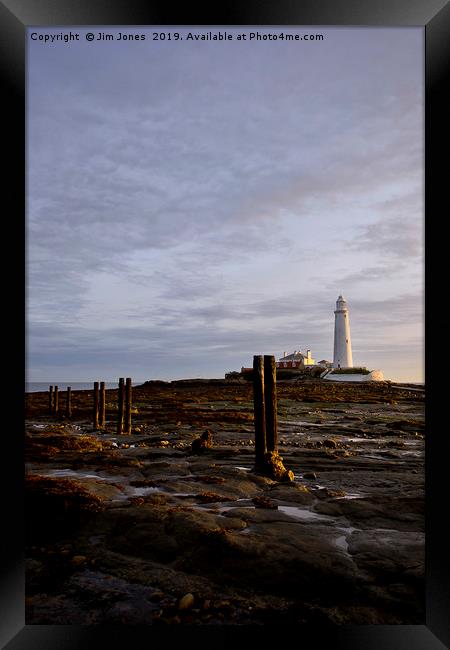 Early morning sunshine at St Mary's Island. Framed Print by Jim Jones