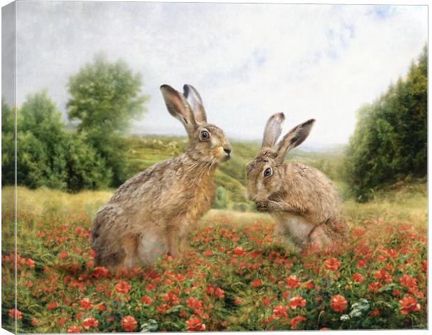 Spring Hare Canvas Print by Trudi Simmonds
