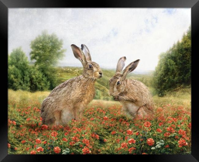 Spring Hare Framed Print by Trudi Simmonds