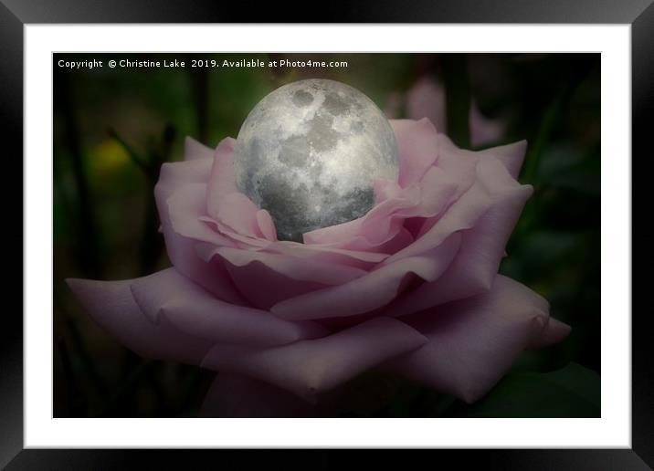 Rose With A Silver Moon Framed Mounted Print by Christine Lake