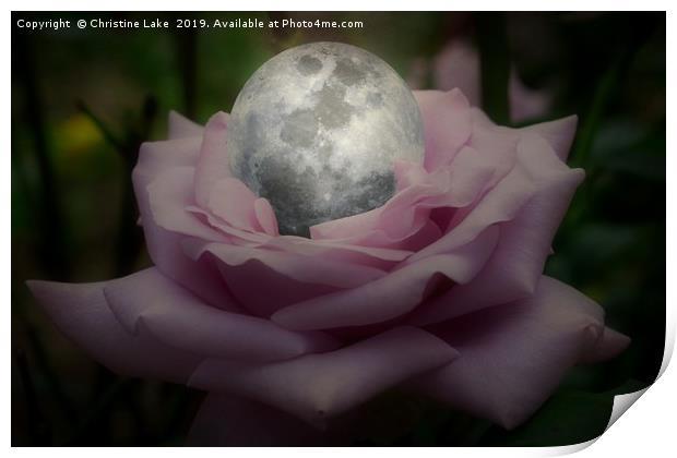 Rose With A Silver Moon Print by Christine Lake