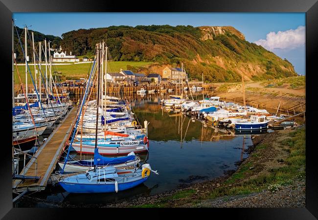 Axmouth Harbour & Haven Cliff                      Framed Print by Darren Galpin
