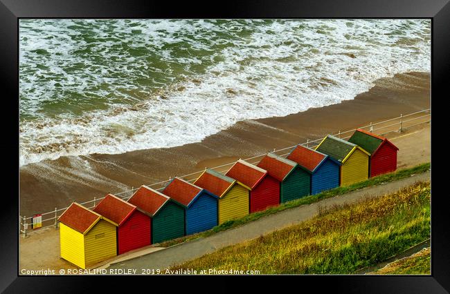 "Colourful new beach huts at Whitby" Framed Print by ROS RIDLEY