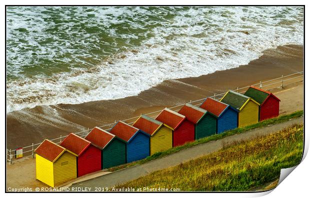 "Colourful new beach huts at Whitby" Print by ROS RIDLEY