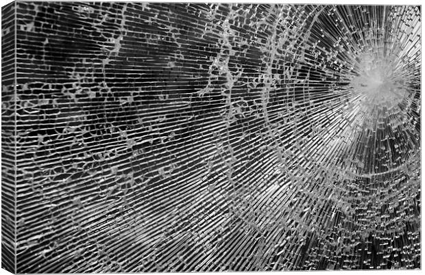 Broken glass window Canvas Print by Lisa Shotton