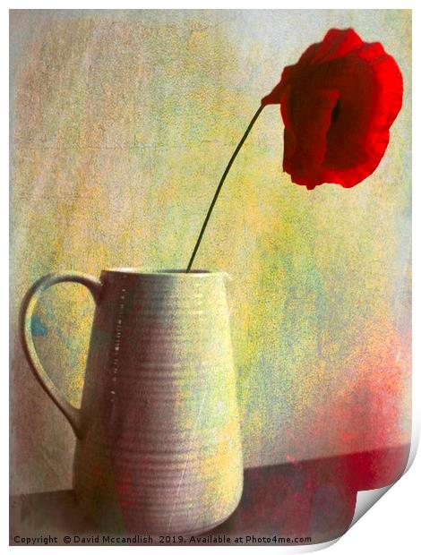     Lone  Poppy                          Print by David Mccandlish