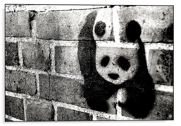 Bear Walls Acrylic by Chris Manfield