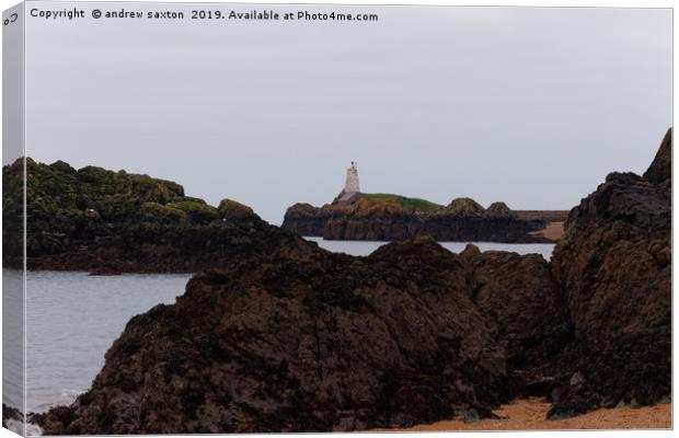 ROCKY LIGHTHOUSE Canvas Print by andrew saxton