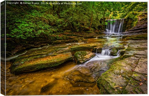 Nant Mill Falls Wales Canvas Print by Adrian Evans