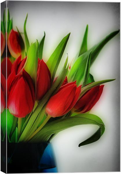 Red Tulips, Blue Vase Canvas Print by Karen Martin