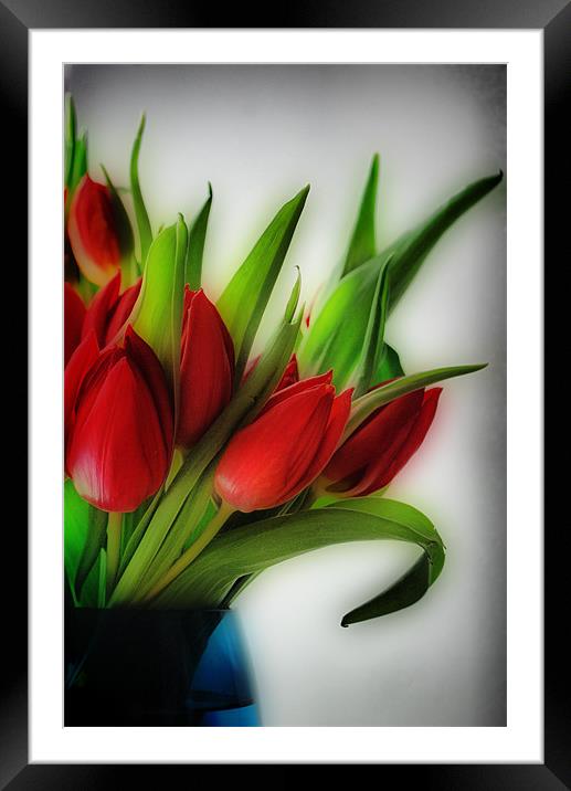 Red Tulips, Blue Vase Framed Mounted Print by Karen Martin