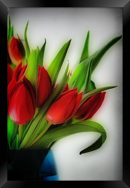 Red Tulips, Blue Vase Framed Print by Karen Martin