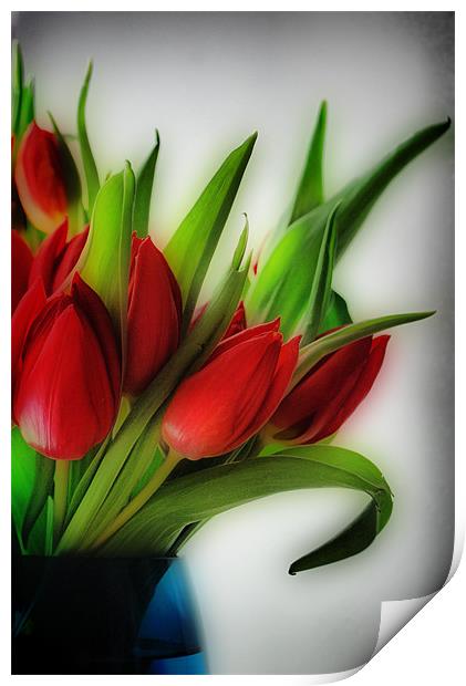 Red Tulips, Blue Vase Print by Karen Martin