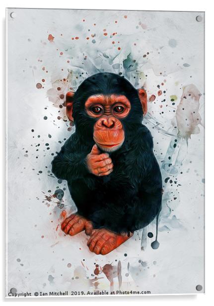 Baby Chimpanzee Art Acrylic by Ian Mitchell