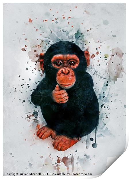 Baby Chimpanzee Art Print by Ian Mitchell