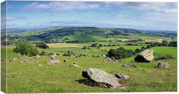 Dales Panorama Canvas Print by David McCulloch