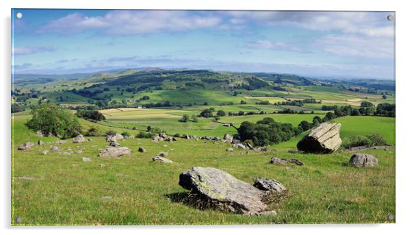 Dales Panorama Acrylic by David McCulloch