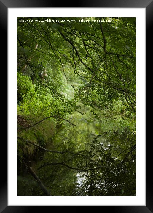 Woodland Stream Framed Mounted Print by LIZ Alderdice