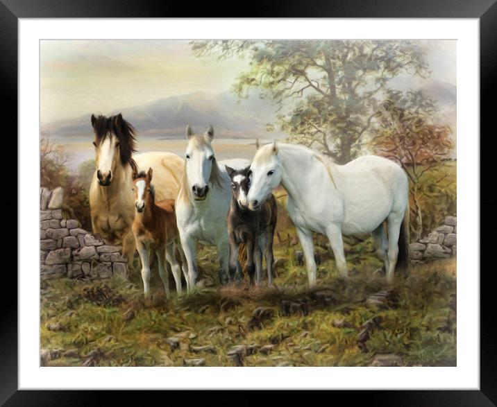 Back to Connemara Framed Mounted Print by Trudi Simmonds