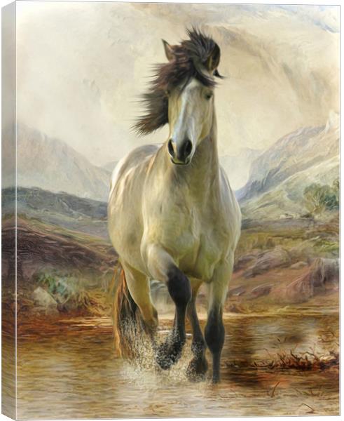 Home On The Moors - Connemara Pony Canvas Print by Trudi Simmonds