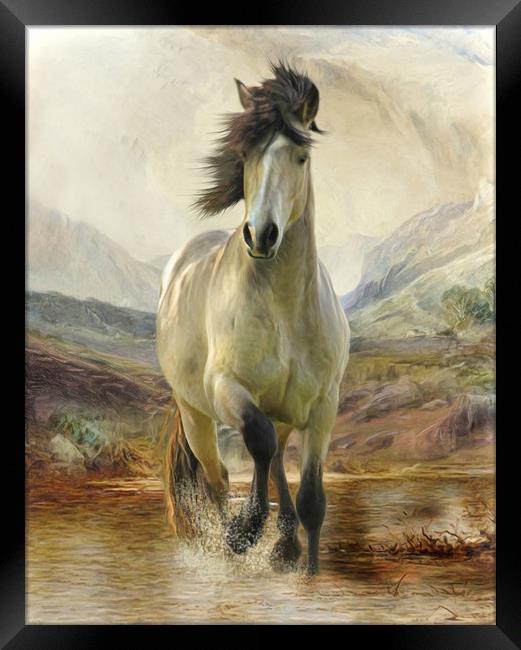 Home On The Moors - Connemara Pony Framed Print by Trudi Simmonds