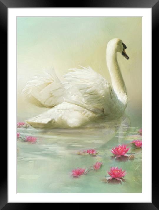 Swan Song Framed Mounted Print by Trudi Simmonds
