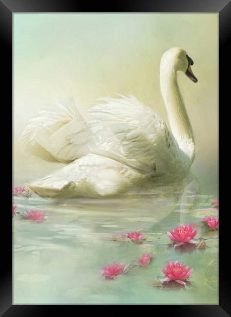 Swan Song Framed Print by Trudi Simmonds
