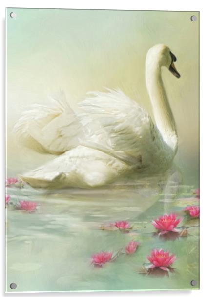 Swan Song Acrylic by Trudi Simmonds