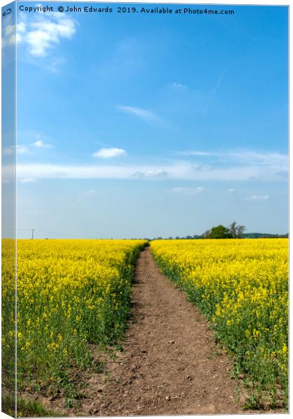 The Path to Bosworth Field Canvas Print by John Edwards