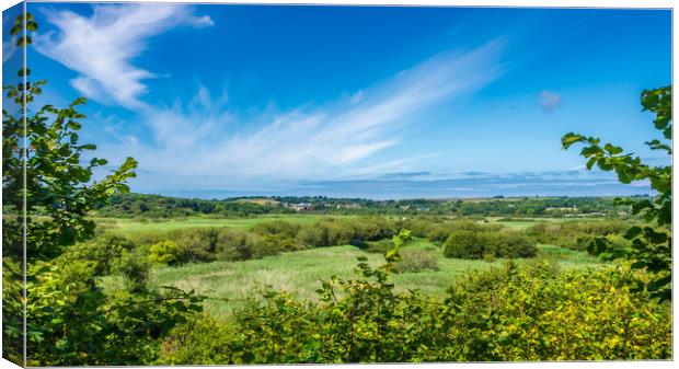 Cardigan Marshes, Pembrokeshire, Wales, UK Canvas Print by Mark Llewellyn
