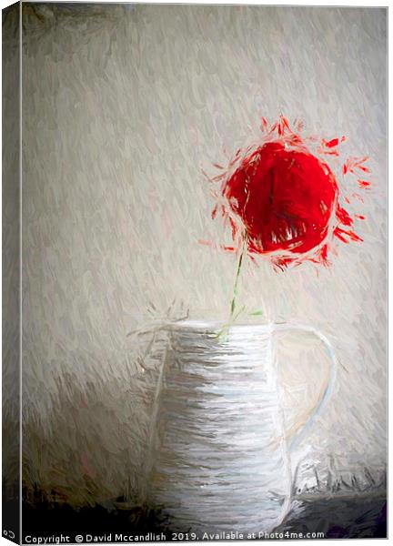 Single Red Poppy                               Canvas Print by David Mccandlish