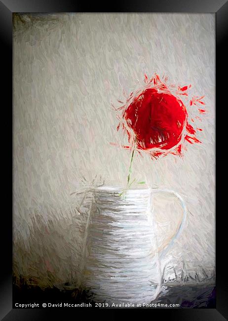  Single Red Poppy                               Framed Print by David Mccandlish